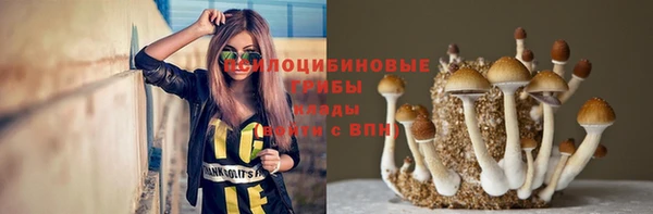 твердый Алексеевка