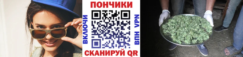 Конопля сатива  Салехард 